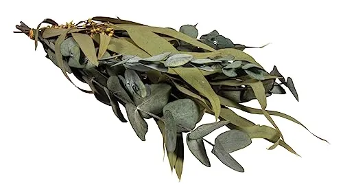 Rayher Eukalyptus-Zweige, Bund mit Papiermanschette, 30 – 35 cm, Trockenblumen Deko, natur, Eukalyptus getrocknet, Eukalyptus Blätter Deko, 85493000