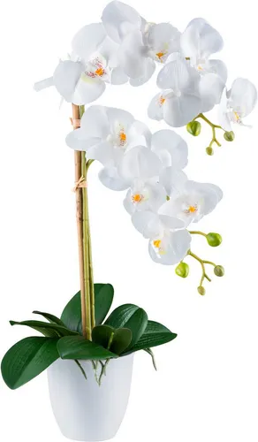 Kunstorchidee Orchidee Phalaenopsis, Creativ green, Höhe 56 cm, mit real-touch-Blüten