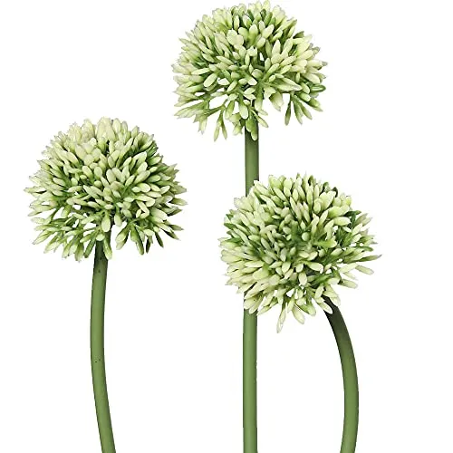 matches21 Lauchblüten Allium Kunstblumen für Blumengestecke künstliche Blumen Kunststoff 3er Bund Ø 5x34 cm - weiß-grün
