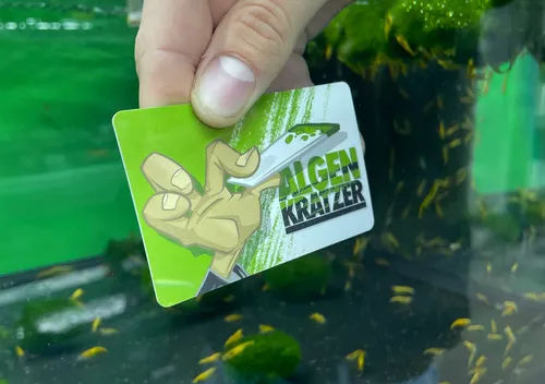 Natureholic Algenkratzer Aquarium Scheibenreiniger Karte Algen Entferner 1 Stück