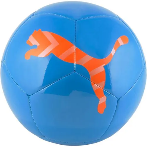 PUMA Ball ICON ball