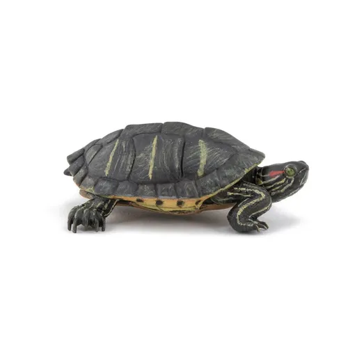 Papo 50309 Tierwelt Florida Schildkröte Figur 6,1 x 4,6 x 2,17 cm handbemalt