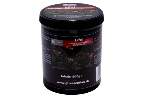 GT essentials von GT essentials