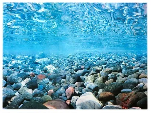 Amtra Croci Rückwandfolie 80 cm x 45 cm Aquarien Rückwand Hintergrund Dekoration Poster