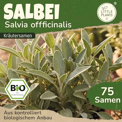 Pflanzen Grün von Little Plants