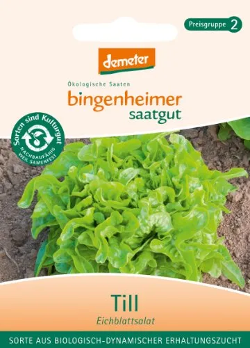 Bingenheimer Saatgut - Pflücksalat Eichblattsalat Till - Gemüse Saatgut / Samen