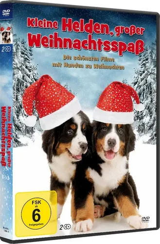 Kleine Helden, großer Weihnachtsspaß | DVD