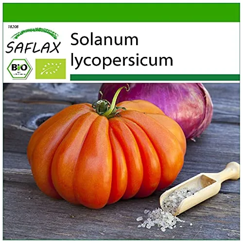 SAFLAX - BIO - Tomate - Ochsenherz - 10 Samen - Mit keimfreiem Anzuchtsubstrat - Solanum lycopersicum