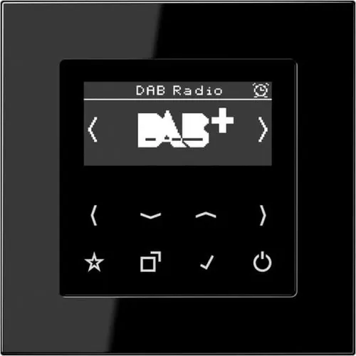 Jung DABASW Smart Radio DAB+