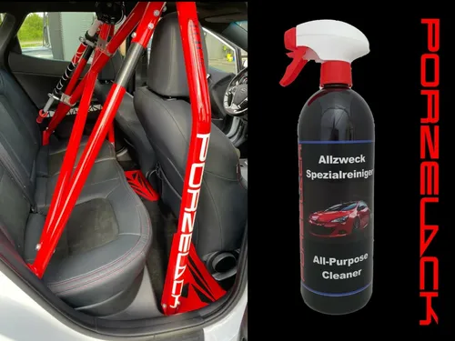 ALLZWECK SPEZIALREINIGER (KONZENTRAT) (1 LITER), PORZELACK