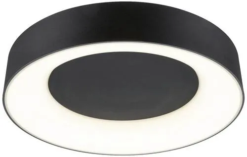 Paulmann 71097 Casca LED-Deckenleuchte 23W Schwarz (matt) - Moderne LED-Deckenleuchte mit 23W, bietet einzigartigen Lichteffekt und dreistufige Lichtfarbe: Tageslichtweiß, Neutralweiß und Warmweiß für jede Stimmung.