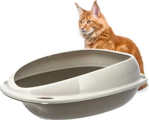 GarPet Katzenklo ohne Deckel Katzentoilette mit Rand Katzen WC Schalentoilette 57x40x19 cm grau oval hygenisch