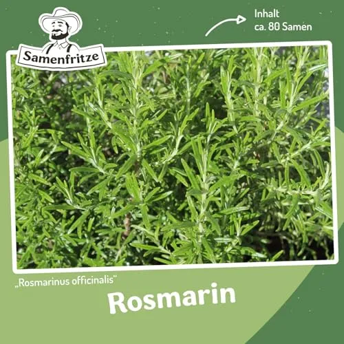 MHD 06/26 Rosmarin Samen
