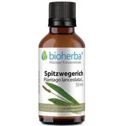 Spitzwegerich Plantago lanceolata L. Tropfen Tinktur 50ml