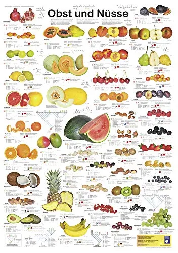 Obst und Nüsse (Planet-Poster-Box) von Planet Poster Editions