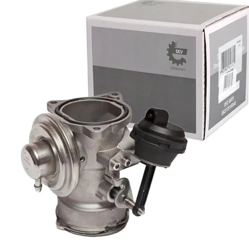 SKV 14SKV025 AGR-Ventile