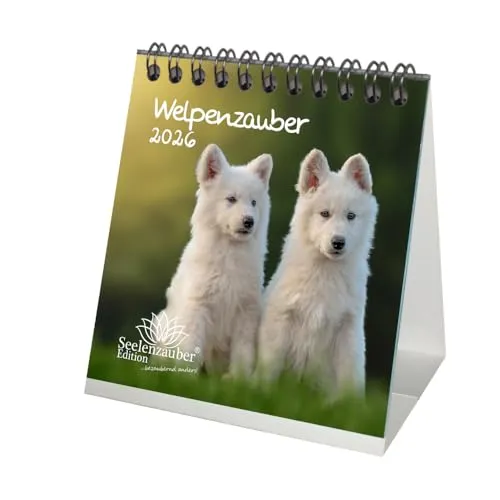 Welpenzauber Tischkalender 10cm x 10cm für 2026 Hunde Welpen - Seelenzauber