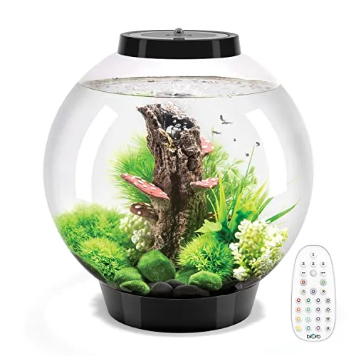 biOrb® Aquarium Classic 30 MCR, Schwarz in schwarz von biOrb