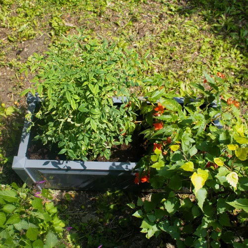 Pflanzkasten NYVIGreen 100x43x41 cm – Wetterfester Pflanzkübel aus recyceltem Kunststoff - Der NYVI Pflanzkasten mit 110 Litern Fassungsvermögen ist ideal für Balkon, Terrasse und Garten. Sein modernes Design und die einfache Montage machen ihn zur perfekten Wahl für Pflanzenliebhaber.
