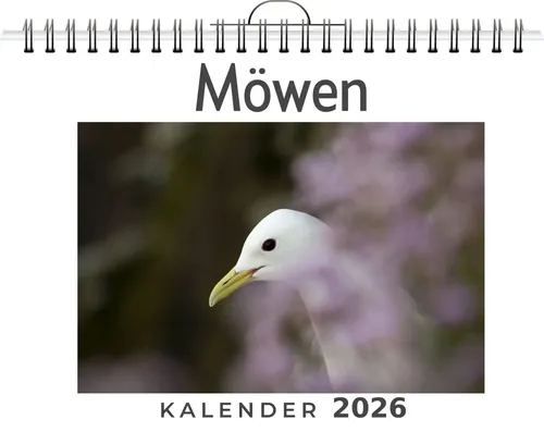Leah Lehmann | Möwen | Kalender | Deutsch | 2026 | FlipFlop | EAN 9783759189257