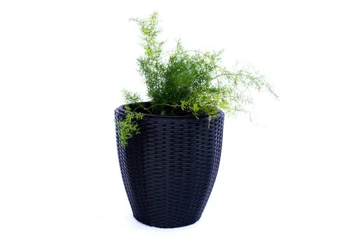 Elegant Einrichten Pflanzkübel Polyrattan rund konisch D30xH30cm schwarz (1 St)