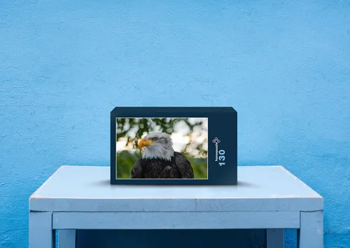 hansepuzzle 24917 - Weißkopf-Seeadler Puzzle, 130 Teile, Tierwelt, 28,7 x 20,0cm mit hochwertiger Aufbewahrung, Kartonbox & Beutel