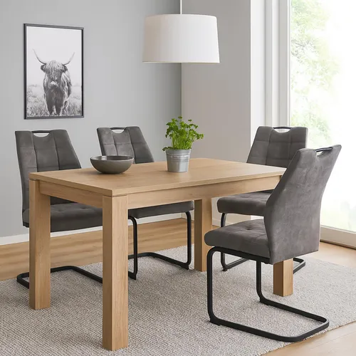HTI-Living Esszimmerstuhl Modernes 4er Set