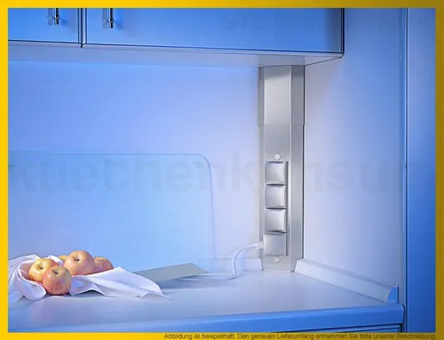 THEBO Energie-Ecksäule ST 3008K, Edelstahl, 4 Steckdosen - Türsicherungen: Robuste Edelstahl-Ecksäule mit 4 Steckdosen für sichere Stromversorgung, ideal für Küchen und Innenräume.