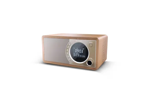 SHARP DR-450 (BR) Digitalradio - Tragbares DAB/DAB+ Digitalradio mit 6W RMS-Leistung und Bluetooth, ideal für Musikgenuss überall.