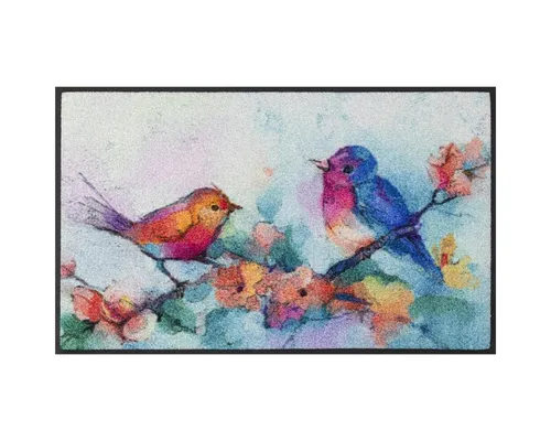 wash+dry Fußmatte Birdorama 50x75 cm - Hochwertige Fußmatte für innen und außen, waschbar bis 60°C, rutschfest und trittschalldämmend – ideal für Allergiker und Tierbesitzer.