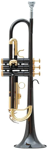 Roy Benson TR-101 K in B Trompete anthrazit lackiert