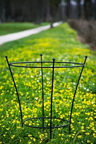 KUHEIGA Stabiler Staudenhalter Schwarz H: 60cm, Volleisen Strauchhalter, Rankgerüst,