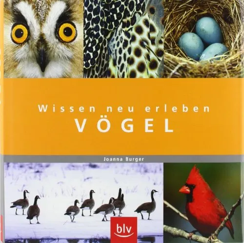 Wissen neu erleben Vögel