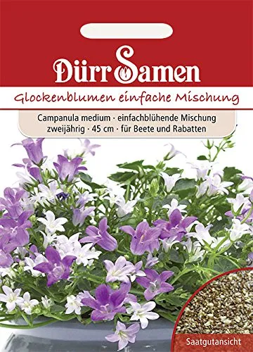 Dürr-Samen - Glockenblume einfache Mischung zweijährig 45 cm Saatgut