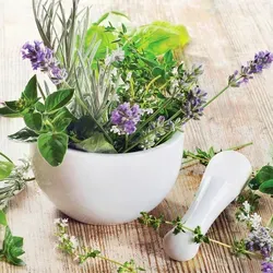 Produktbild EUROART Glasbild 20 x cm Fresh Herbs II – Stilvolle Wanddekoration