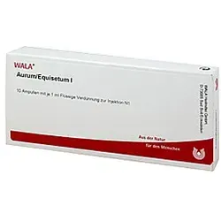Aurum / Equisetum I Ampullen 10 ml - Herz, Kreislauf & Venen - Unterstützt die Durchblutung und das Wohlbefinden des Herz-Kreislaufsystems.