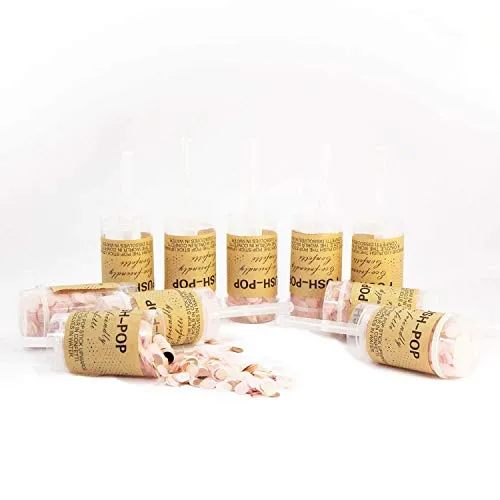 Oblique Unique® 10x Konfetti Kanone für Party Feier Geburtstag Fasching Karneval Hochzeit JGA Party Popper Kracher Push Pop