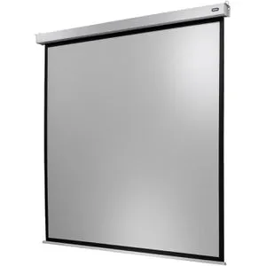 Celexon Motor Professional Plus 200 x 200 cm Leinwand - Beamer-Leinwände, motorisierte 1:1 Leinwand für eine einfache Bedienung und hervorragende Bildqualität
