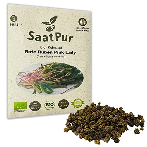 Pink Lady BIO Keimsprossen von SaatPur - Rote Rüben Beete Sprossen - Microgreens - 30g