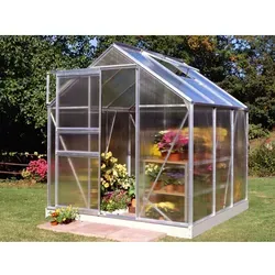 Halls Gewächshaus Popular 66 Alu 3,8 m² von Juliana