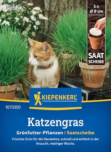 Produktbild Kiepenkerl Katzengrassamen Frischgrün Mischung 1073350