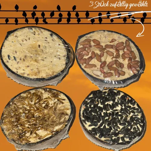 Vogelfutter Halbe Kokosnuss Gefüllt Wildvögel Mit Topping 3 Stück Fettfutter
