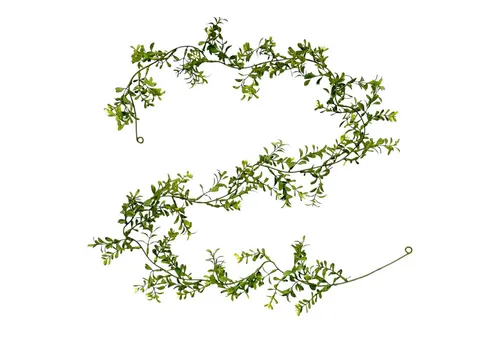 Kränze & Girlanden Grün von naninoa GmbH