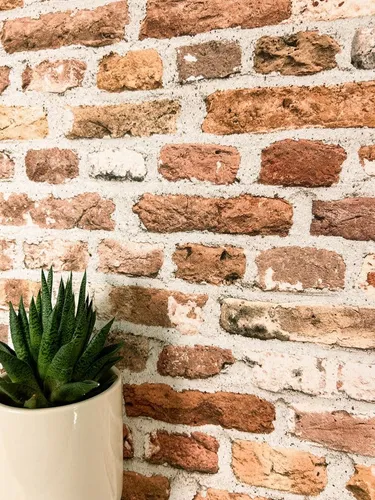 NEWROOM Vliestapete Rot in rot von Newroom