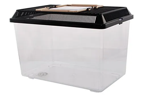 Neu PET-Plaza Kunststoffbox - Faunarium - Kunststoffterrarium - Faunabox - Insektenbox - Insektenterrarium - Box für Futterinsekten (30 x 19,5 x 21cm)