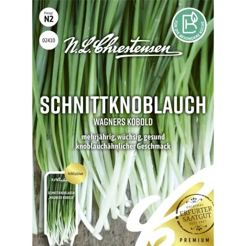 Schnittknoblauch Wagners Kobold, mehrjährig, wüchsig, gesund, Samen