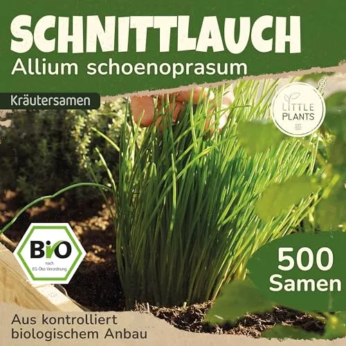 Produktbild Little Plants BIO Schnittlauch Samen 500 Schnittlauchsamen Kräutersamen für Kräutergarten Hochbeet Samenfest Kräuter Samen für Küche, Balkon und Garten Küchenkräuter