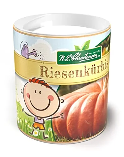 Chrestensen Riesenkürbis Samen Rouge vif d'Etampes - Samenfestes Saatgut 35g für 50-60 Pflanzen - Gartenkinder Streudose