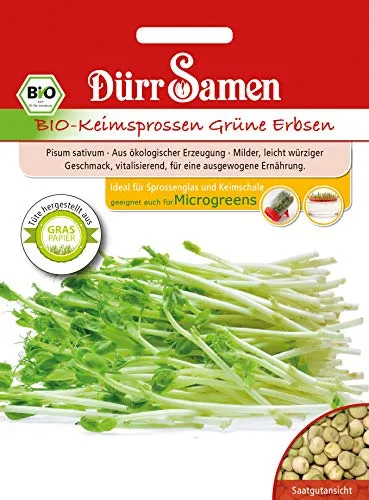 Dürr Samen 4474 Keimsprossen Grüne Erbsen (Bio-Keimsprossen)