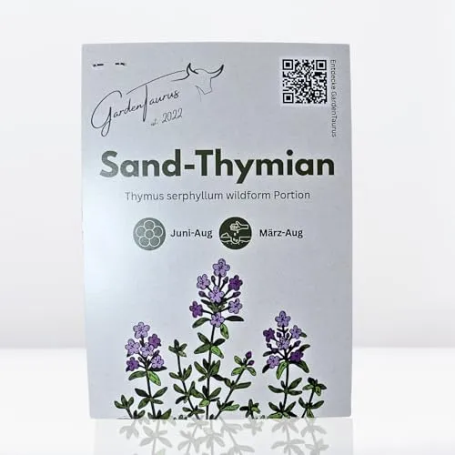 Sand-Thymian Thymus serphyllum wildform Bodendecker trittfest (Eine Portion)